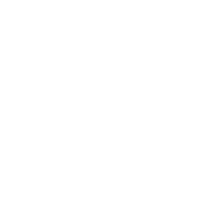 icons8 instagram 250