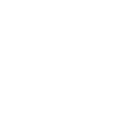 icons8 youtube 250